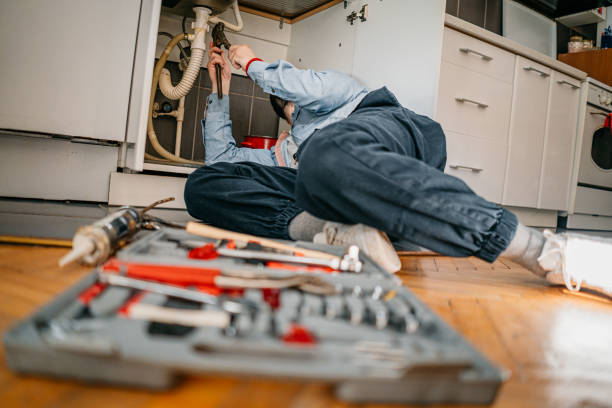 Best Sewer Line Repair  in Dandridge, TN