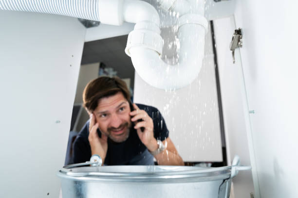 Best Plumbing Repair Near Me  in Dandridge, TN