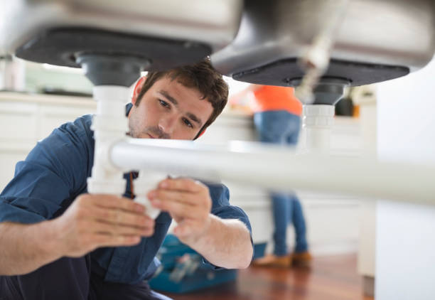 Best Plumbing Repair Near Me  in Dandridge, TN