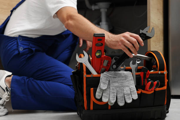 Best Toilet Repair Services  in Dandridge, TN